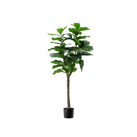 Planta Ficus Lyrata em polietileno com 60 folhas e vaso com musgo 130cm