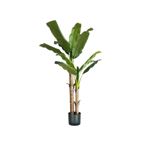 Bananeira artificial em polietileno com vaso e 17 folhas 170cm