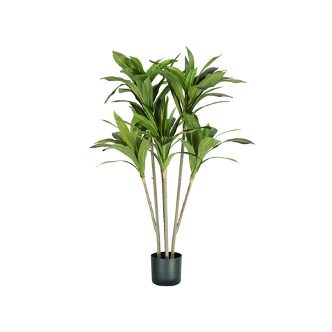 Planta Dracaena em polietileno com 88 folhas e vaso com musgo 130cm