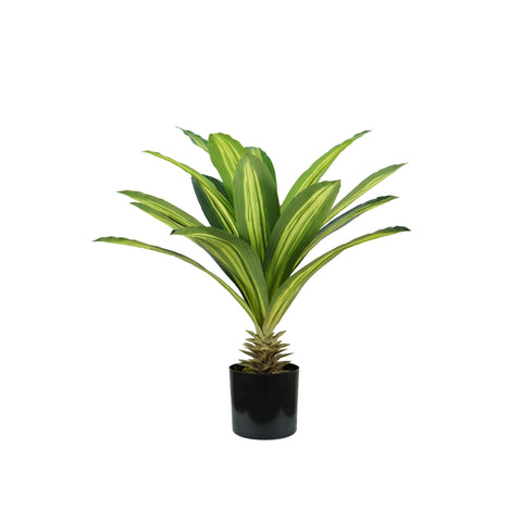 Planta Dracaena em polietileno com 19 folhas e vaso com musgo 60cm