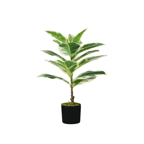 Planta Ficus Elastica em polietileno com 15 folhas e vaso com musgo 65cm