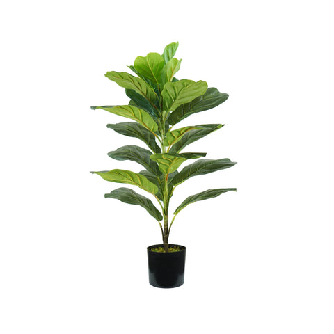 Planta Ficus Lyrata em polietileno com 21 folhas e vaso com musgo 75cm