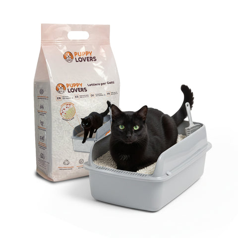Substrato Vegetal Absorvente 6L - Areia para Caixa de Gato 4+2 Grátis