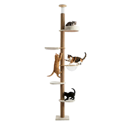 Árvore de arranhar para gatos, regulável para tetos de 260-300 cm, em madeira e juta, com rede em forma de cúpula, casota e plataformas