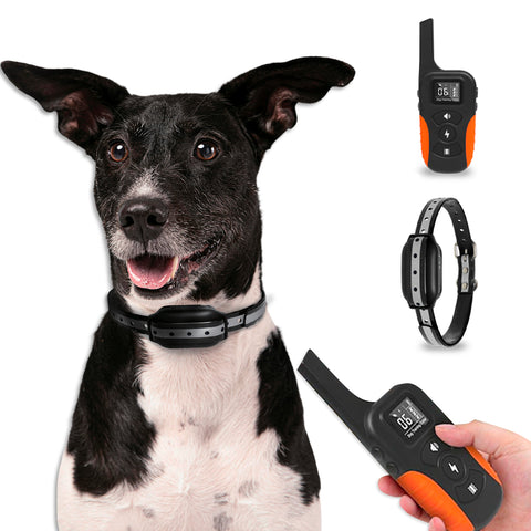 Coleira de Treino para Cães de Porte Grande/Pequeno - Impermeável e com Controlo até 1000m