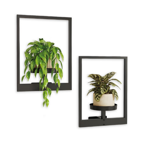 avilia home porta piante da parete in metallo nero set 2 cornici 30x40 cm ean 8052879011511