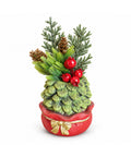 saint joy piantina ornamentale con alberello 20 cm decorazione natalizia da tavolo con pigne bacche rosse e fiocco in rilievo 2 varianti rosso e oro ean 8056819080711