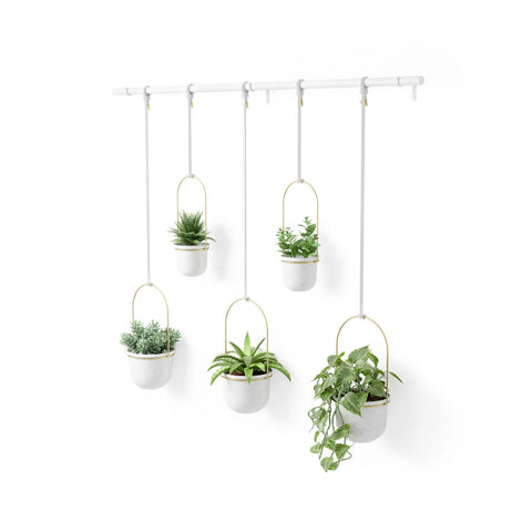 Conjunto de 5 floreiras suspensas com haste branco