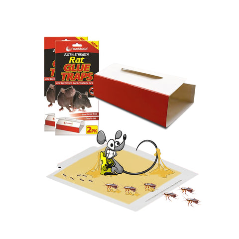 Conjunto de 2 armadilhas reutilizáveis para ratos
