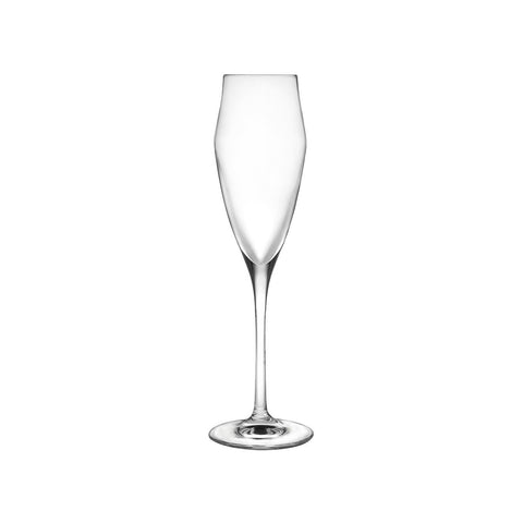 Conjunto de 6 flutes de champanhe Ego 18cl
