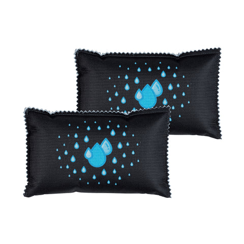 Conjunto de 2 desumidificadores para automóvel 400g