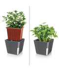 immagine-2-tescoma-vaso-per-piante-quadrato-metallo-nero-13x11cm-ean-8595028400960